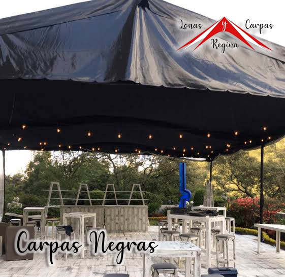 carpa negra iluminada